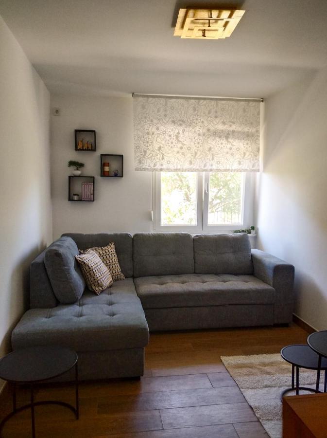 רייקה Apartment Vida - Amazing Place With Garden And Terrace מראה חיצוני תמונה