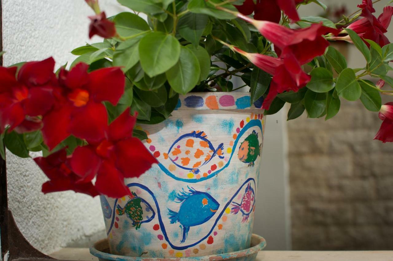 רייקה Apartment Vida - Amazing Place With Garden And Terrace מראה חיצוני תמונה